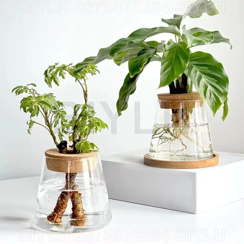 Glass Hydroponic Plant Vase - Image 5